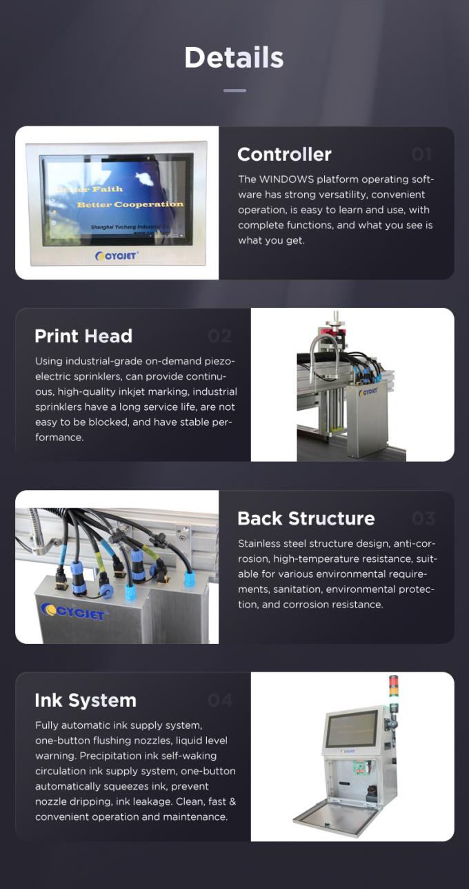CYCJET High Resolution Carton Inkjet Printer Double Printhead
