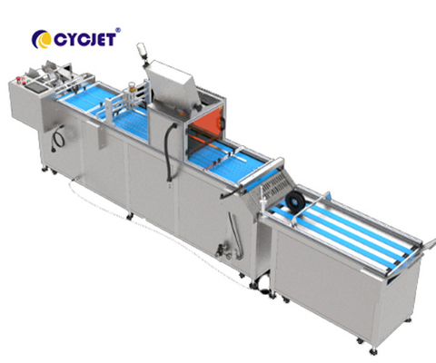 CYCJET CVI 450-VD Automated Visual Inspection Machine For Coding Machine