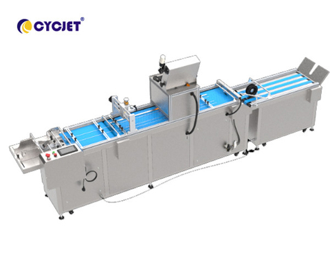 CYCJET CVI 450-VD Automated Visual Inspection Machine For Coding Machine